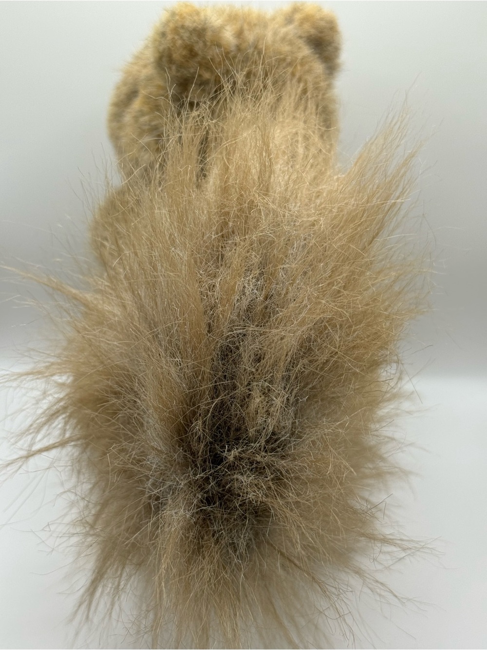 Vintage Gund Skeeter the Squirrel Plush Stuffed Animal Bushy Tail 7.5" - Picture 2 of 7